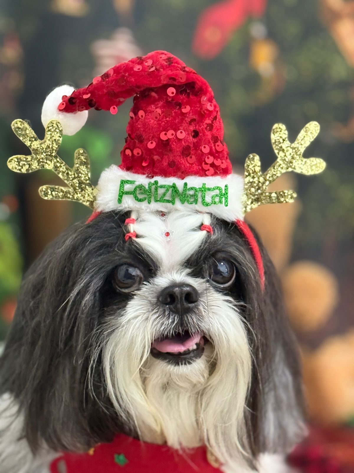 Natal