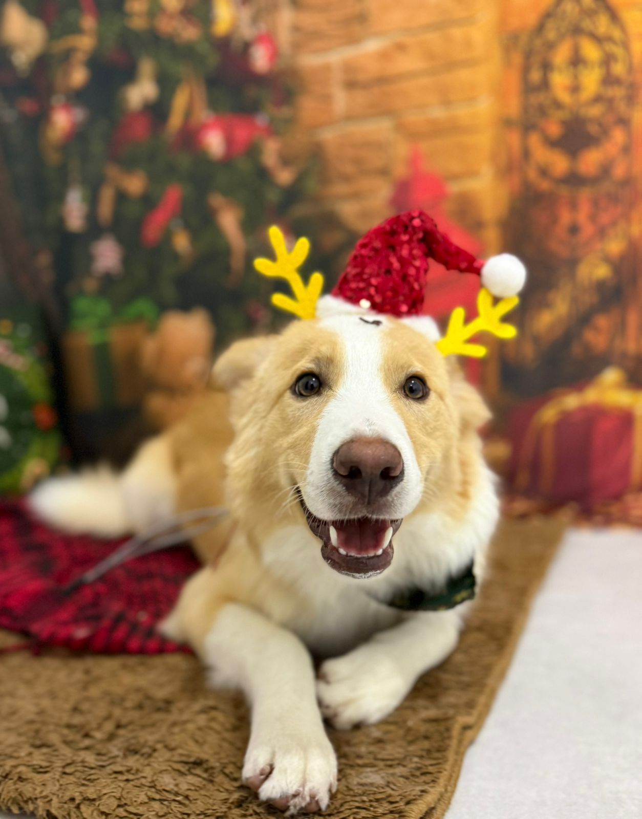 Natal